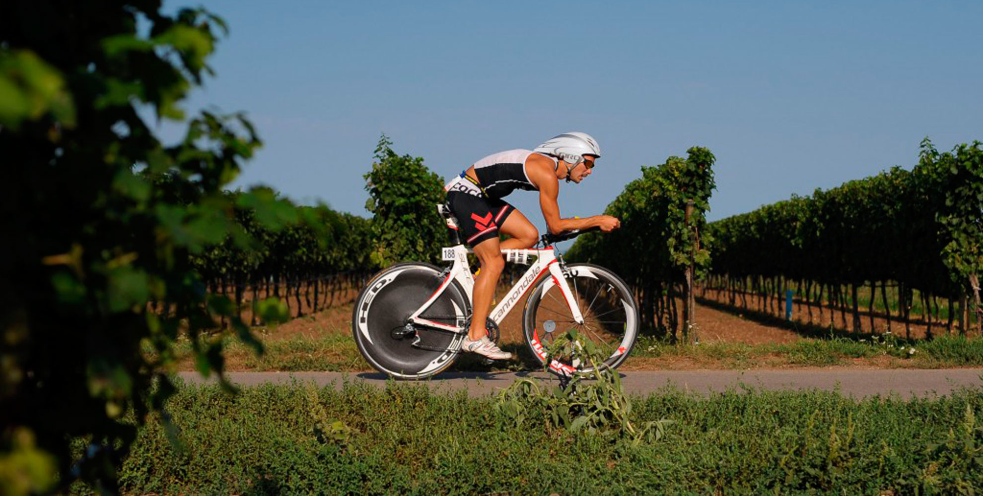 österreichischer meister 2011, vizemeister 2012 triathlon ironman-distanz (3,8k swim -180k bike -42,2k run)